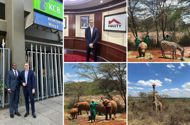Kenya – big game, bigger returns 